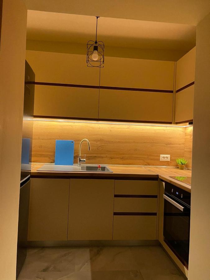 Downtown Deluxe Apartment Shkodra Kültér fotó
